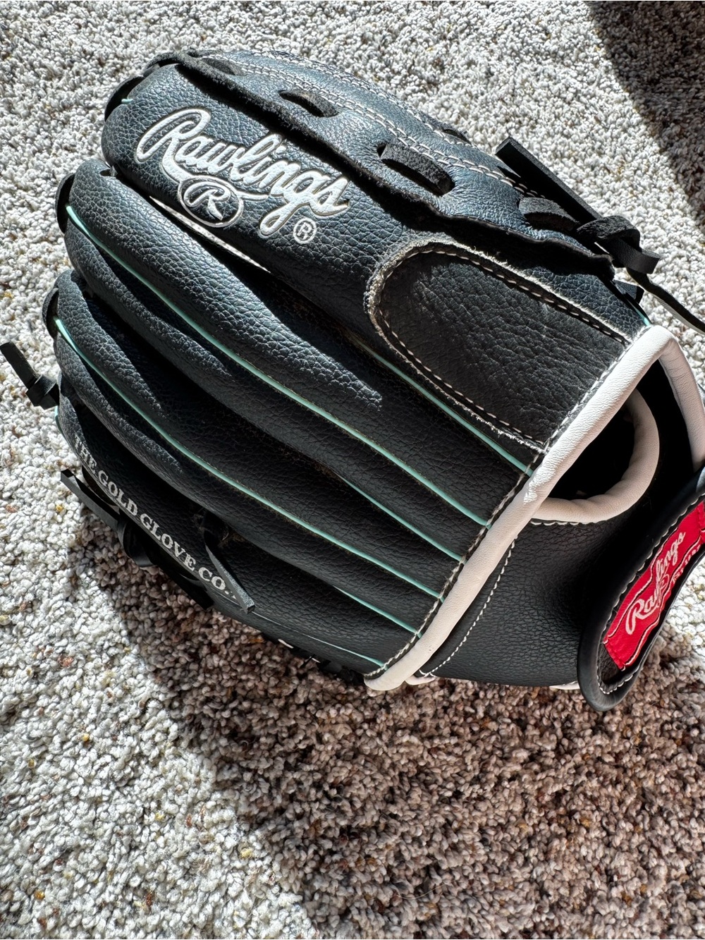 Rawlings Fastpitch 11in Softball Glove